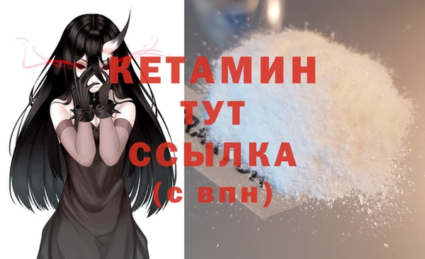 ПСИЛОЦИБИНОВЫЕ ГРИБЫ Медвежьегорск