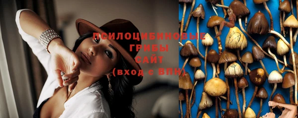 бутират Мегион
