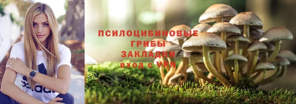ГАЛЛЮЦИНОГЕННЫЕ ГРИБЫ Медногорск