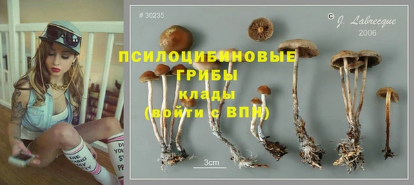 бутират Мегион