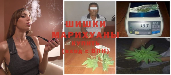 ГАЛЛЮЦИНОГЕННЫЕ ГРИБЫ Медногорск