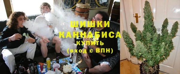 ПСИЛОЦИБИНОВЫЕ ГРИБЫ Медвежьегорск