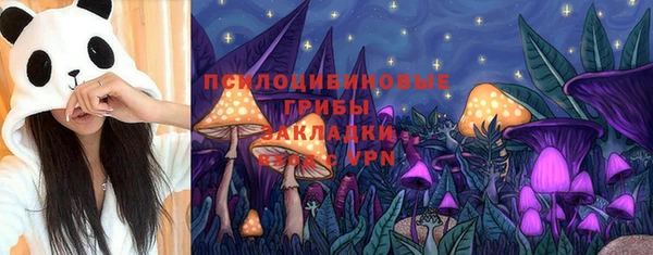 бутират Мегион
