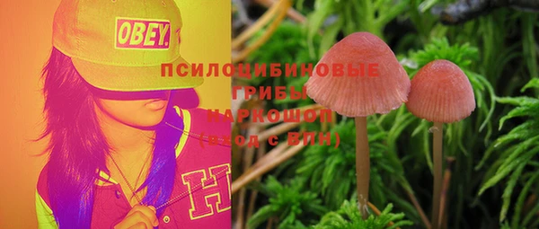 бутират Мегион