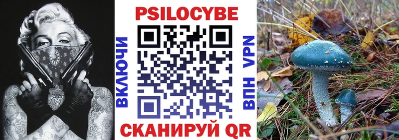 Купить где  Кузнецк  Псилоцибиновые грибы Cubensis 
